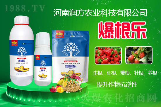     ���ϝ����r(n��ng)�I(y��)�Ƽ����޹�˾��΢�������-������-����ñ���Ɏ���ֲ�ｨ����(qi��ng)�я�(qi��ng)��ĸ�ϵ�����M(j��n)ֲ�(du��)�����B(y��ng)����ˮ���c���w�������������������������������Ѹ����B(y��ng)��������(qi��ng)�����ԡ�