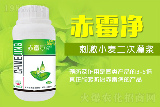 �o�����ѣ�δ��(l��i)ʮ����С����ù�������P(gu��n)�I������(w��)��ץ����