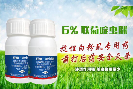 ���԰׷�ʭ�y�����y�����@����ˎ�x���p�������x��