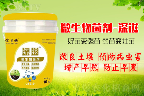 ������α��l(f��)ʽ�������������B(y��ng)���������(l��i)����