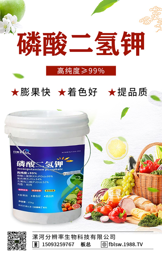 �~��ʵć�ʩ�`�^(q��)���@���c�e������