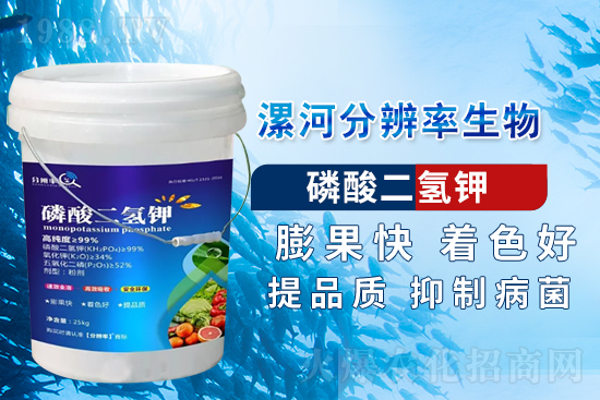 �~��ʵć�ʩ�`�^(q��)���@���c�e������