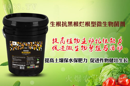 ����ڸ��������S�������l�l(f��)���á������p�ɽ�Q�����f�Nֲ�������ã�