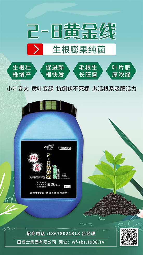 ���Ƿʵ������f(w��n)�����L(zh��ng)����ϵ�����ﱬ�l(f��)����ԇԇ�@һ��! 