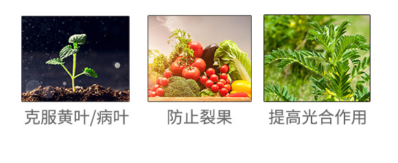 �����ɭ�����＼�g(sh��)���޹�˾(912377)_04