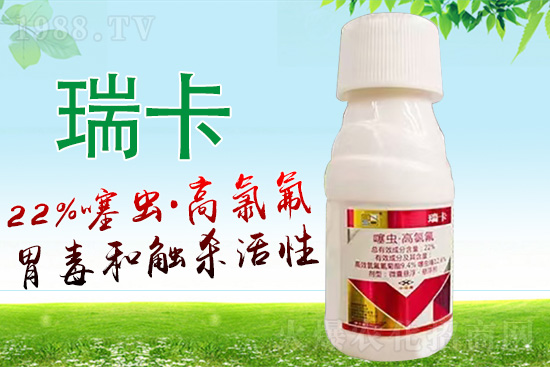 ɽ�|���r˼�_����Ƽ����޹�˾12