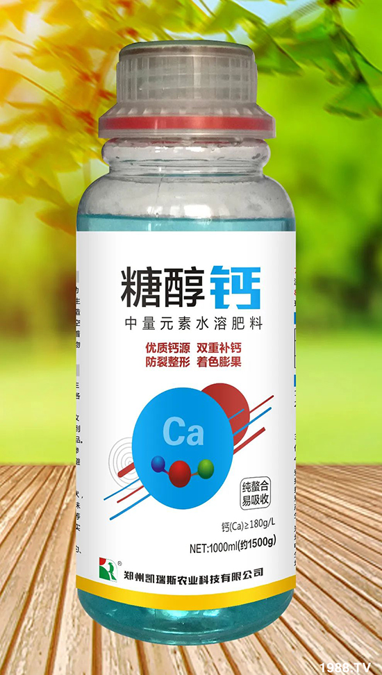 ���¹�����ô�������@�����������������ɫ������ȸ���