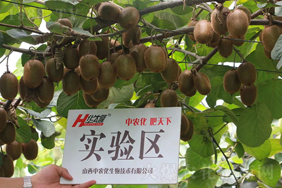 �J����������c����Щ���J����������ôʩ