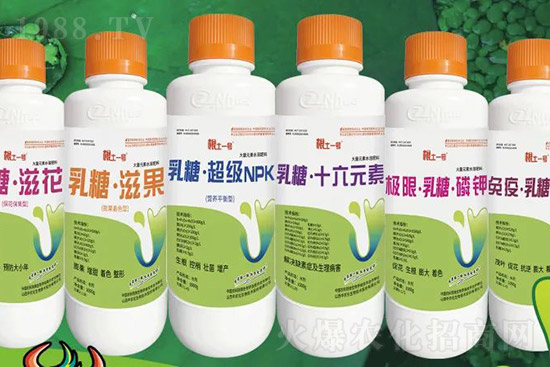 �J����������c����Щ���J����������ôʩ