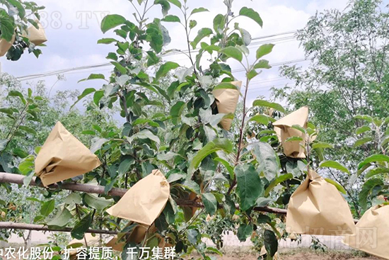     �����״���ɜp���rˎ���������ƹ��ӵ����^Ʒ�|���ɴ����߹�Ʒ�u���������׳��۲��u���߃r�����Թ����״�Ŀǰ��Ȼ���҇����@����Ҫ�����������״��O��������Ǻ���Ҳ�ٲ�����