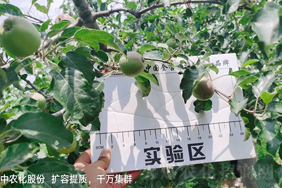     �����״���ɜp���rˎ���������ƹ��ӵ����^Ʒ�|���ɴ����߹�Ʒ�u�࣬�����׳��۲��u���߃r�����Թ����״�Ŀǰ��Ȼ���҇����@����Ҫ�����������״��O��������Ǻã�Ҳ�ٲ�����