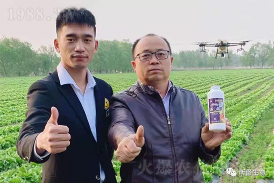 ����׷�ʏ�(f��)�Ϸʺ�߀�����غ����ܶ��˶��e(cu��)�������������_�x��