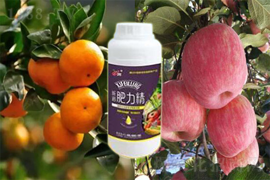 ����׷�ʏ�(f��)�Ϸʺ�߀�����غ����ܶ��˶��e(cu��)�������������_�x��