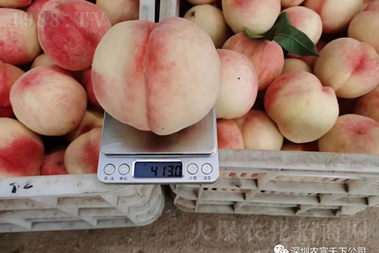 �Ҙ������ô�k���Ҙ����ԭ���A(y��)������