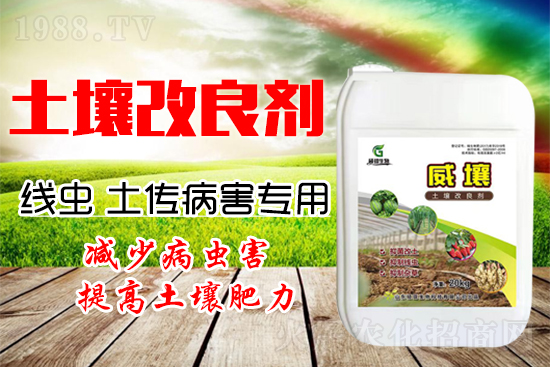 222������Y(ji��)���x(ch��ng)������������(y��n)�أ�����һ�з�������