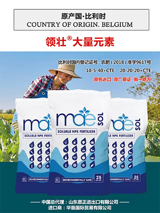 ��500�2000���߶��M�ڷʡ��ԃr�Ȱ�����