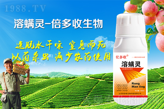 夏季二斑葉螨爆發(fā)怎么辦？二斑葉螨應(yīng)該怎樣防治？