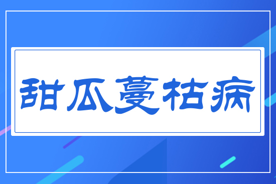 ������ݲ�