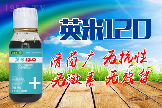 ��轰׷۲��İY����ʲô����轰׷۲����η�����