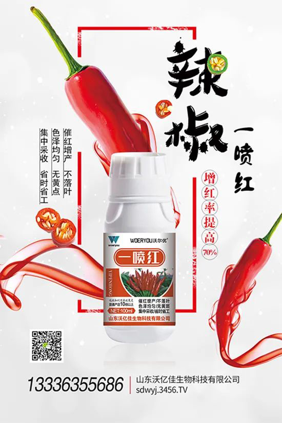 ���t�����95%���߼t�����~�����뷭�׷�����������һ���t��