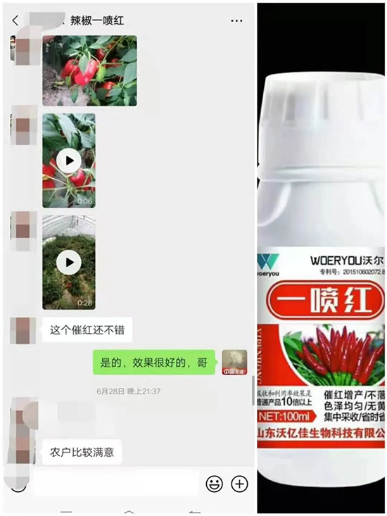 ���t�����95%���߼t�����~�����뷭�׷�����������һ���t��