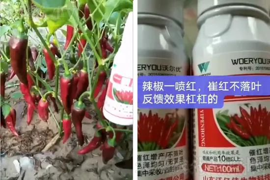 ���t�����95%���߼t�����~�����뷭�׷�����������һ���t��