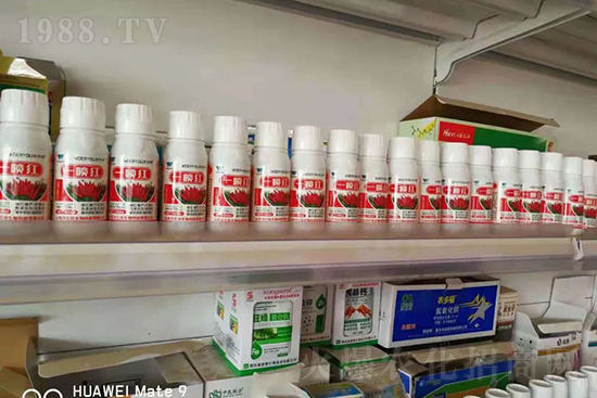 ���t�����95%���߼t�����~�����뷭�׷�����������һ���t��