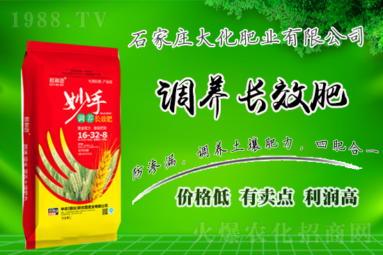 ��(zh��n)�Ժ�����������ʯ���f�󻯷ʘI(y��)�ٴκ��s1988.TV��