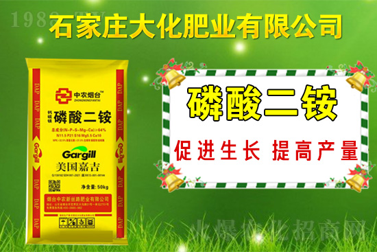 ��(zh��n)�Ժ�����������ʯ���f�󻯷ʘI(y��)�ٴκ��s1988.TV��