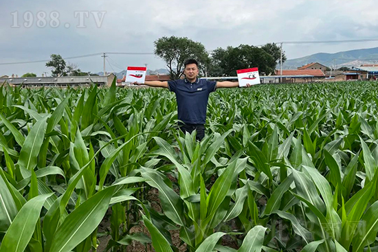 ��Դ��������ɣ��I�B(y��ng)�a��ȫ����