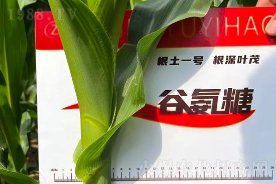 ��Դ������������I�B(y��ng)�a��ȫ����