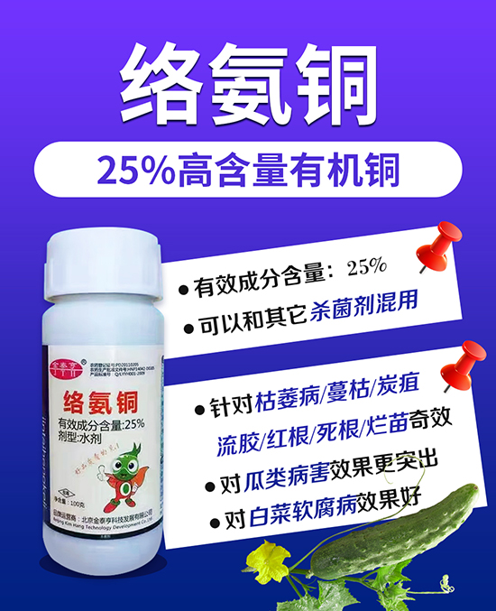 ��̩��(����D��1