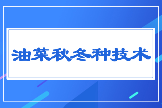 �Ͳ��ﶬ�N���g(sh��)