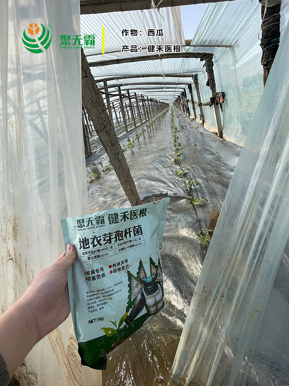 �����t(y��)������ѿ�ߗU��-�۟o��3