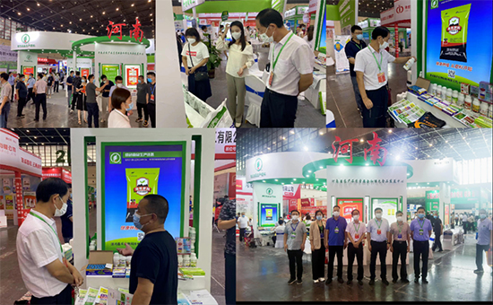 �ڶ�ʮ����ԭ�r(n��ng)�Y�p����2