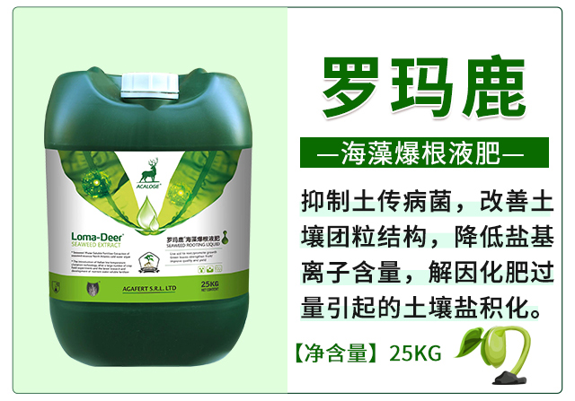 爆根液肥-海鯨_02