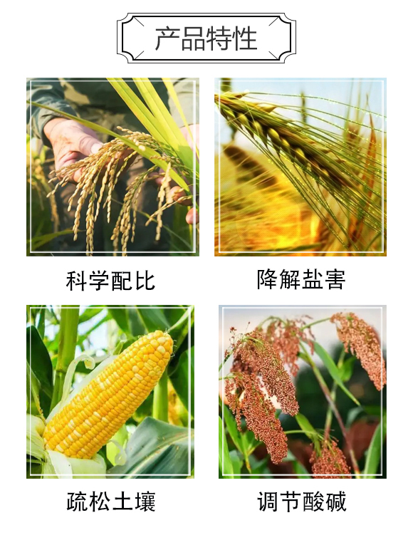 ��(zh��n)�}-����ʘI(y��)_03