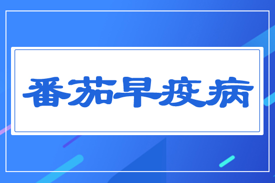 �������߲�