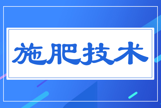 ʩ�ʼ��g(sh��)