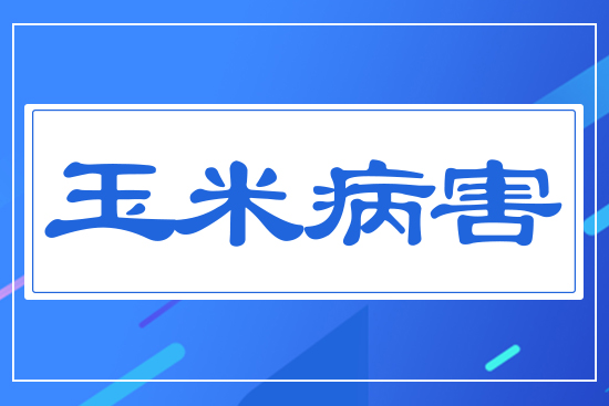 ���ײ���