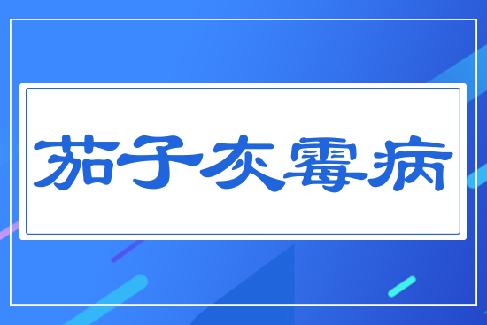 ���ӻ�ù��