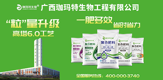 ��(f��)�Ϸ��ϣ�����6