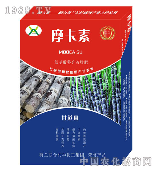 ���ጣ�ð���������Һ�ķ�-Ħ����-��(qi��ng)о���H