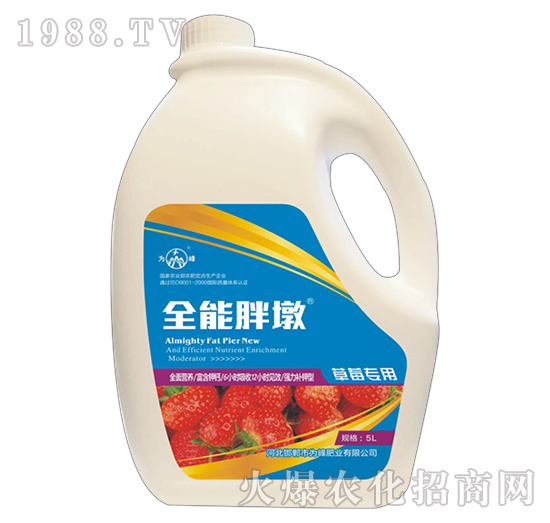 ȫ���ֶ�-��ݮ����-���