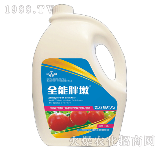 ȫ���ֶ�-���t����(zhu��n)��-���