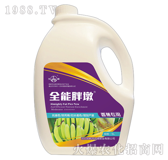 ȫ���ֶ�-�㽶����-���