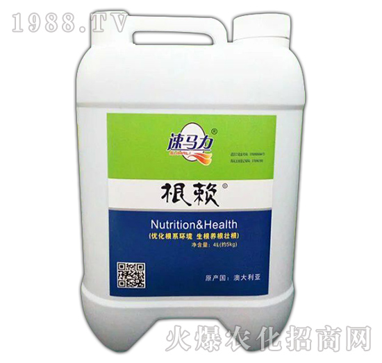 根賴-速馬力-中澳西農