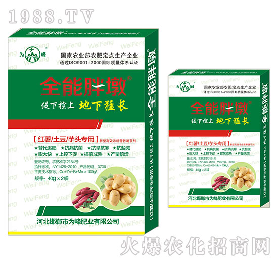 �t�������������^����-ȫ���ֶ�-���