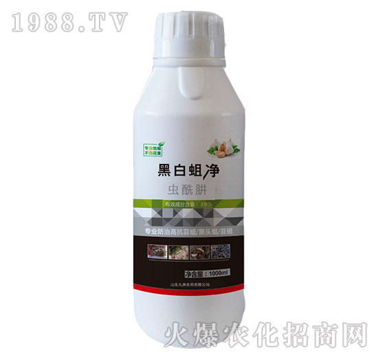 20%�x����-�ڰ�����-�읙����