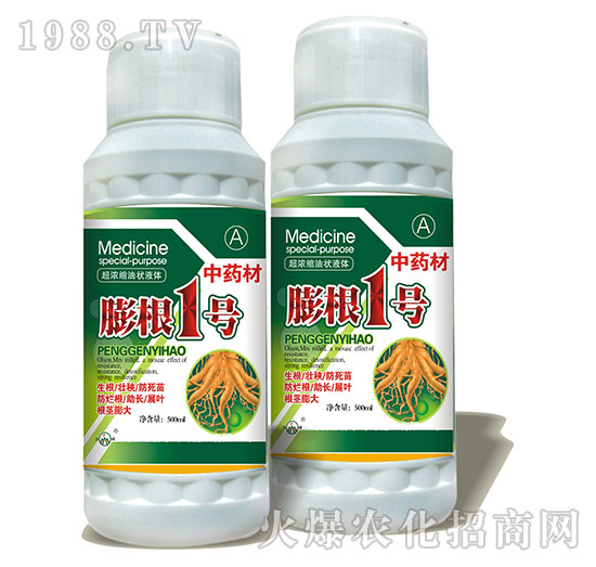 ���1̖-ˎ�Č����~���-���